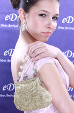 White BN Lady Bag Handbag Shouler/Clutch BAG