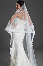 Amazing Long Lace decorated Wedding Veil
