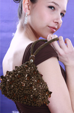 Brown Lady Bag Handbag Shouler/Clutch BAG