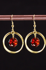 Chic Charming Earring
