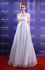Elegant Party Ball Gown Evening Dress