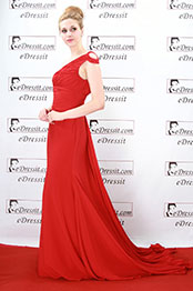 Katherine Heigl Red Evening Dress Prom Gown