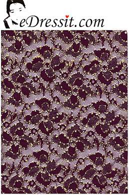 Tissu de Dentelle