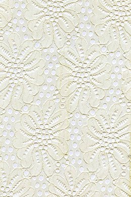 Tissu de dentelles