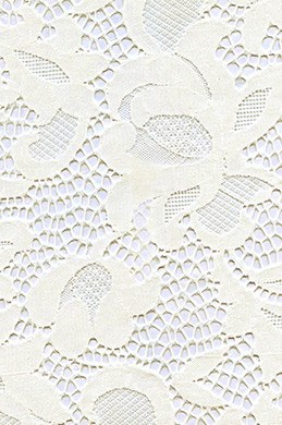 Lace Fabric