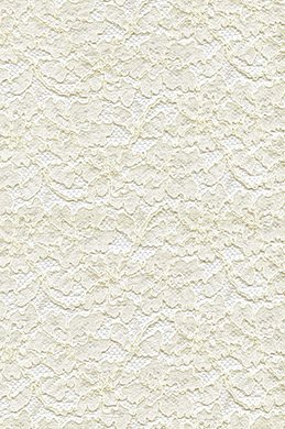 Tissu de dentelles