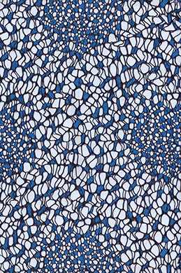 Lace Fabric