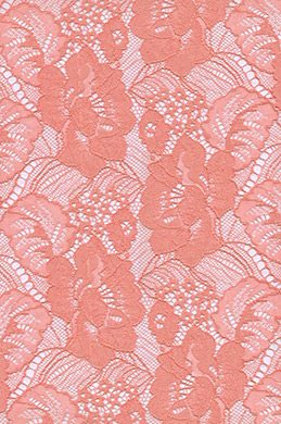 Tissu de dentelles