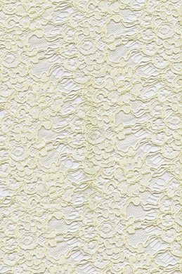 Tissu de Dentelle