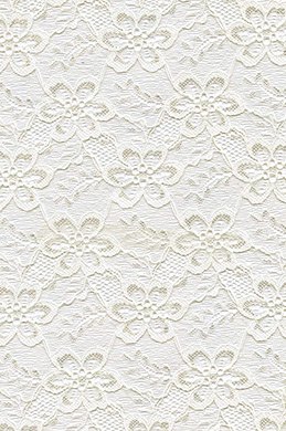 Lace Fabric