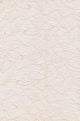 Lace Fabric