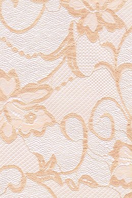 Lace Fabric