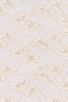 Lace Fabric
