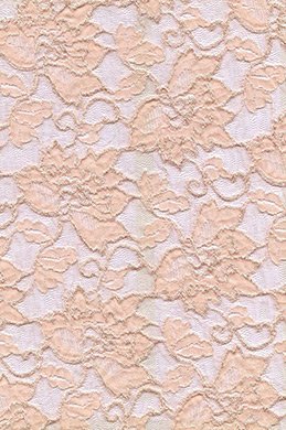 Tissu de Dentelle