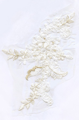 Tissu de Dentelle