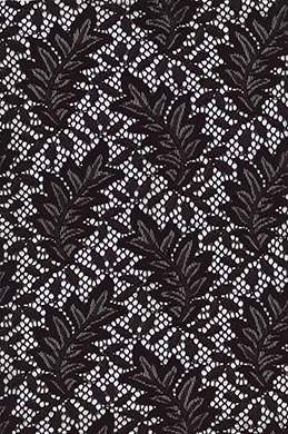 Lace Fabric
