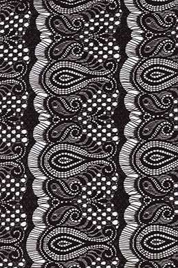 Tissu de Dentelle
