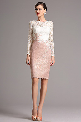 Long Sleeves Lace Mother of the Bride Dress