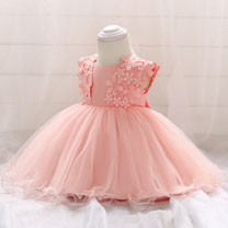 Cap Sleeves Lace & Tulle Baby Dress Infant Dress
