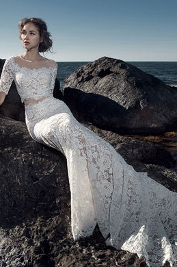 Sexy Sleeves Two-piece Lace Applique Wedding Dress